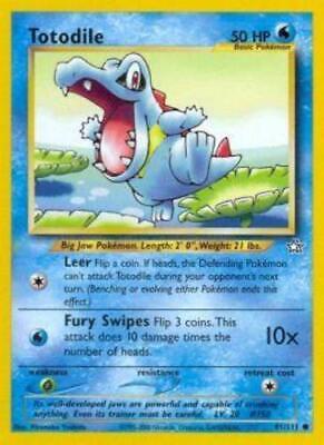 Totodile NG (81)