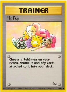 Mr.fuji