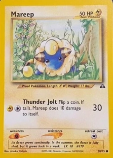 Mareep NDI
