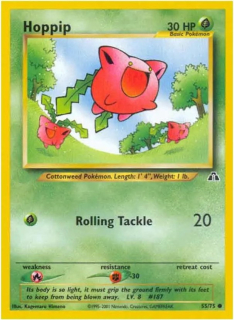 Hoppip