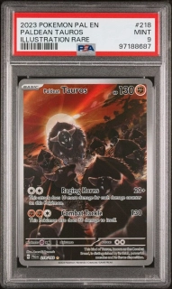 Paldean Tauros (PSA 9)