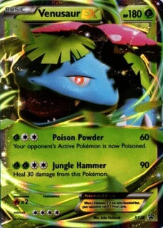 Venusaur EX