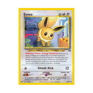 Eevee NDI