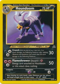 Houndoom NDI