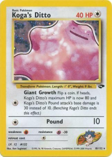 Koga's Ditto (holo)