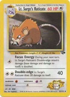 Lt. Surge's Raticate (Focus Energy)