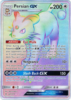 Persian GX (Rainbow)