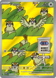Pidgey (IR)