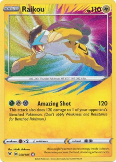 Raikou (amazing)