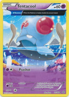 Tentacool (FA)