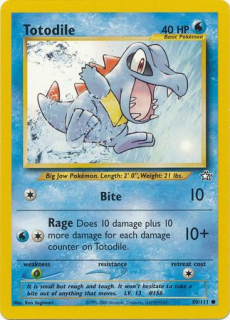 Totodile (NG 80)