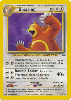 Ursaring (NDI)